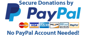 Secure donations by PayPal. No PayPal account needed.