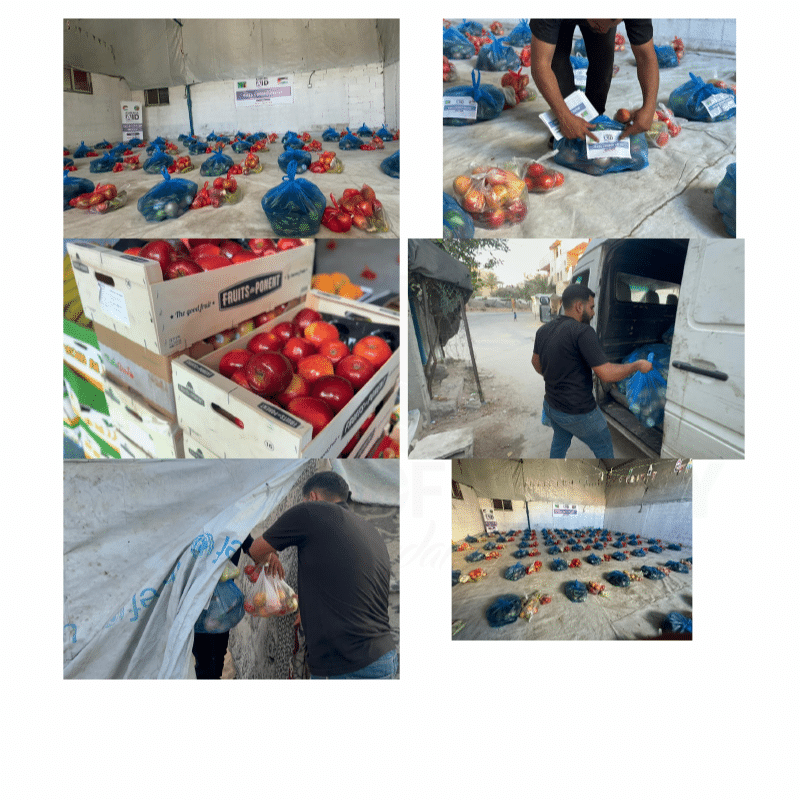 Field photographs from the fresh vegetable basket distribution in Gaza